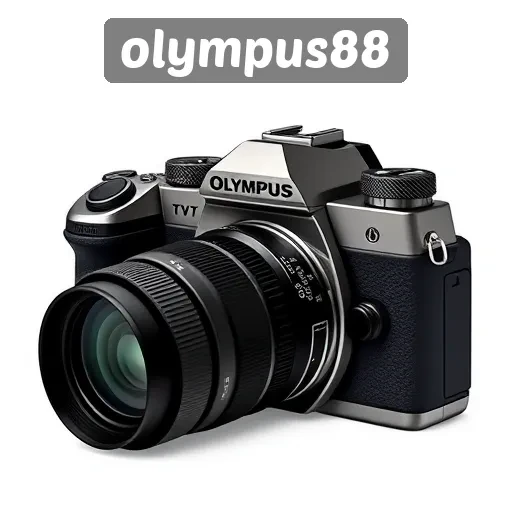 Komunitas Pengguna dan Forum Diskusi di Olympus88