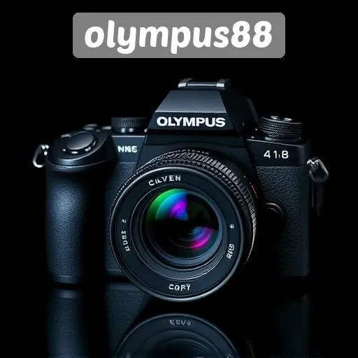 Ulasan Pengalaman Pengguna di Olympus88 yang Perlu Dipertimbangkan